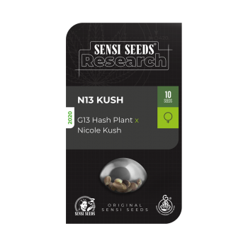 SENSI SEEDS - N13 KUSH - SEMI FEMMINIZZATI